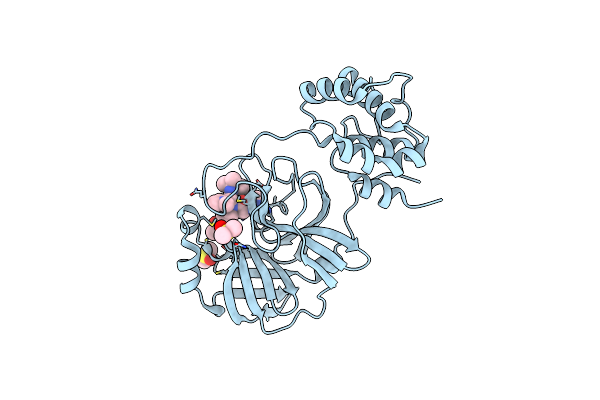 4MDS image