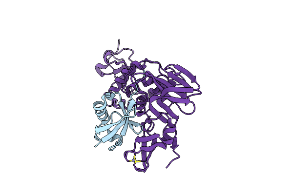 4MM3 image