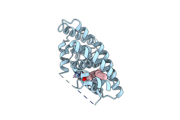 4PP3 image