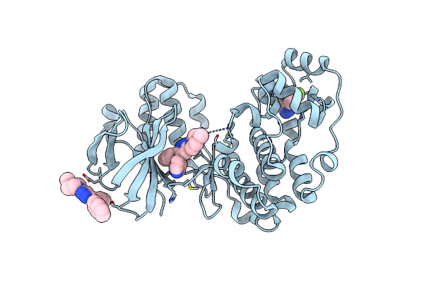 4R3C image
