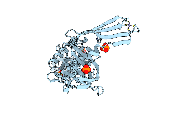 4RNA image
