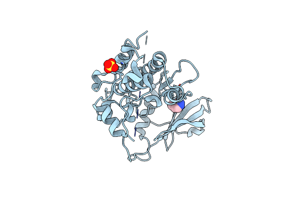 4YPD image