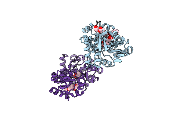 4Z7E image