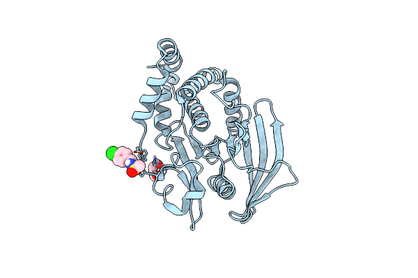 5QEU image