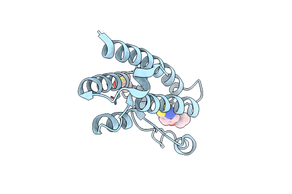 5R4G image