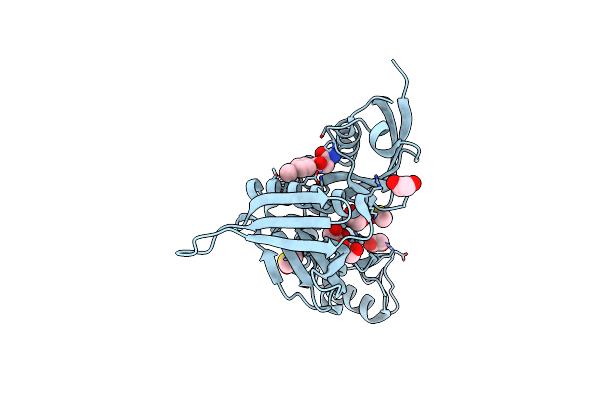 5RZP image