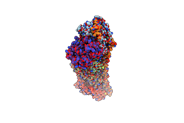 5S52 image