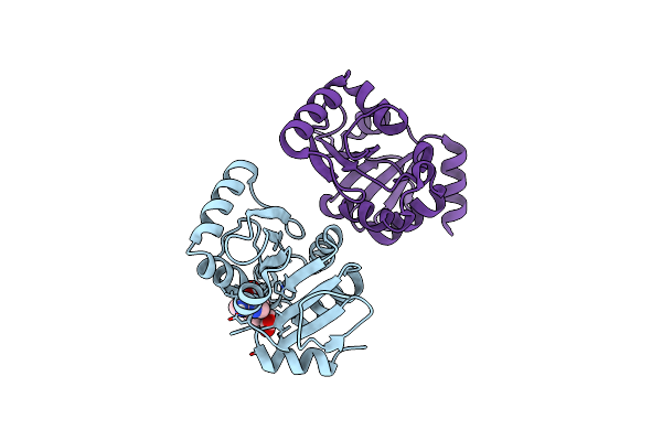 5SOI image