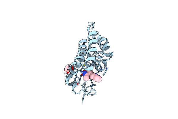 5WMA image