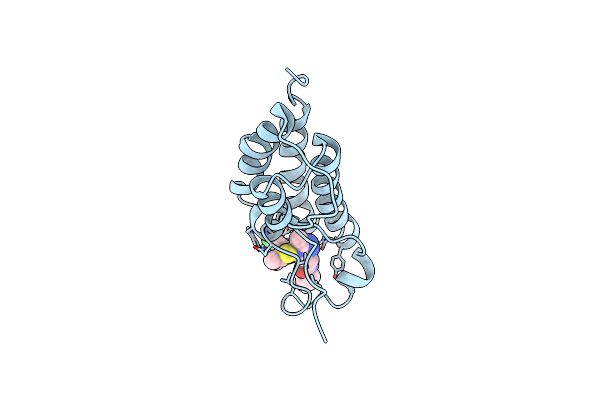 5WMD image