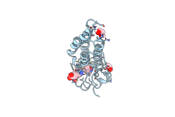 5WMG image