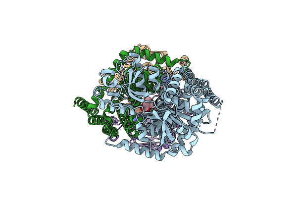 7AHD image