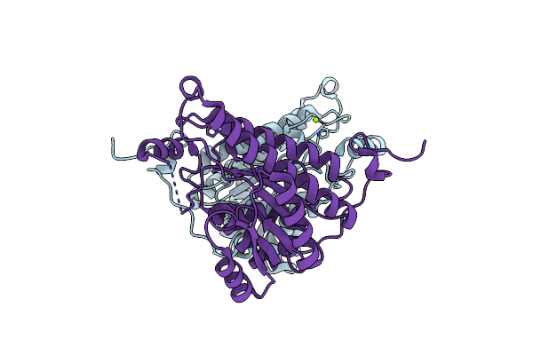 7DLD image