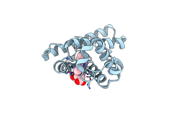 7EHX image
