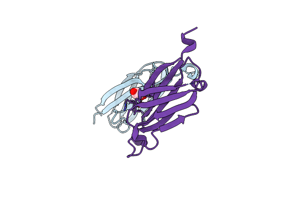 7EIE image