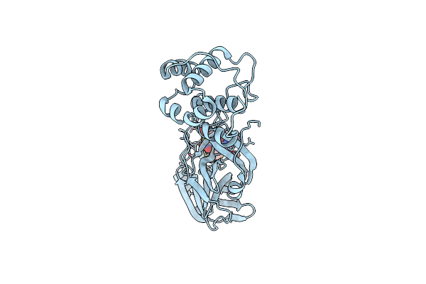 7END image