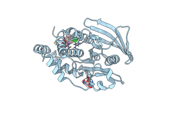 7GSA image