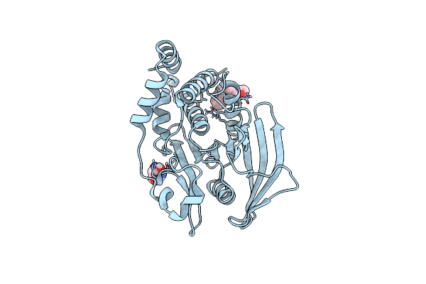 7GSB image