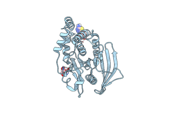 7GSD image