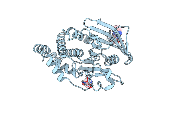 7GSE image