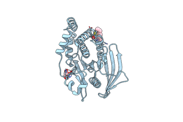 7GSF image