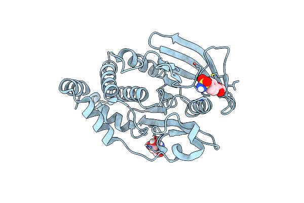7GSG image