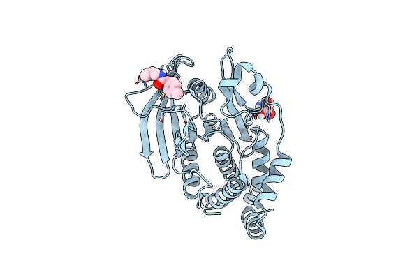 7GSH image