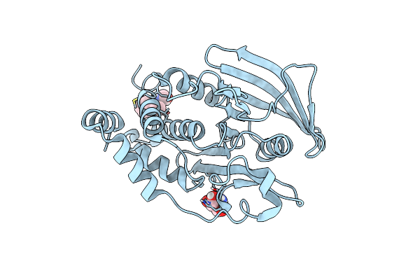7GSK image