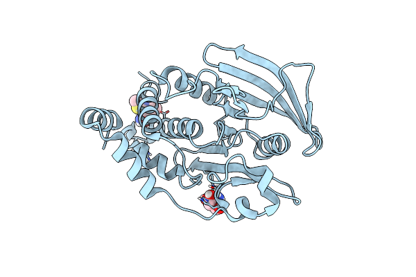 7GSL image