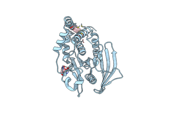 7GSN image