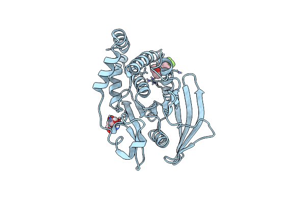 7GSO image