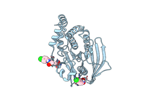 7GSQ image