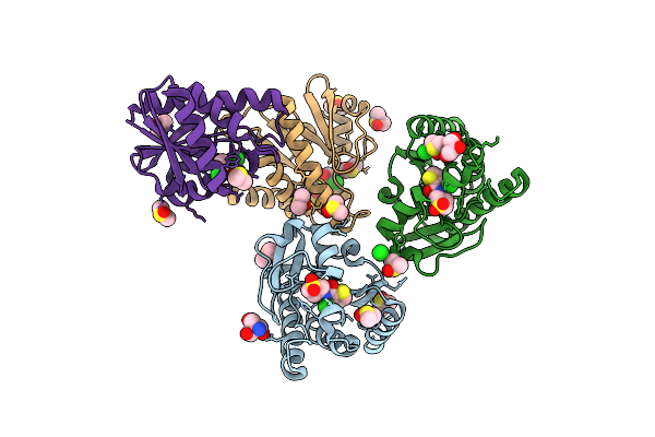 7HIQ image