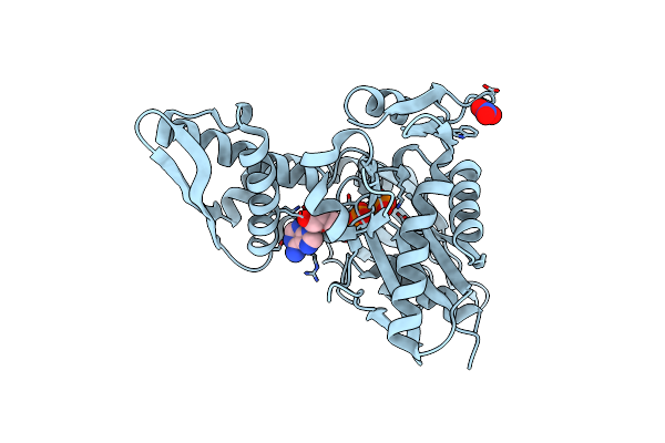 7N46 image