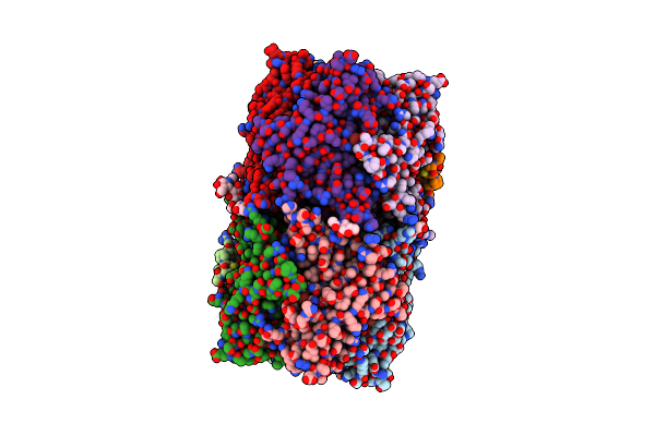 7NDP image