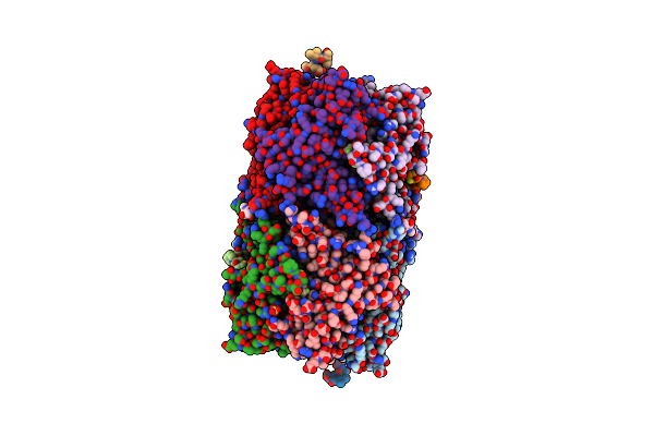 7NDV image