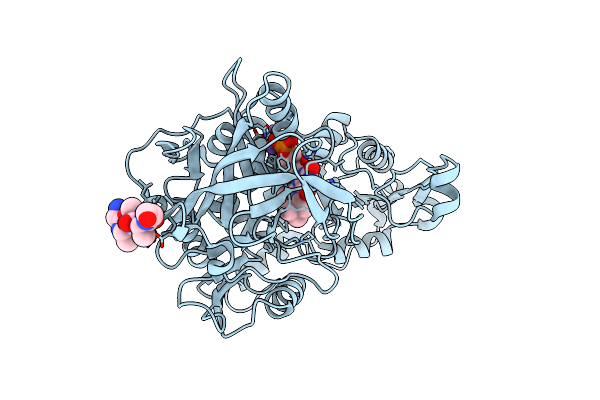 7PDA image