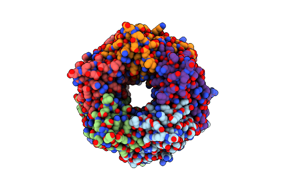 7PE6 image
