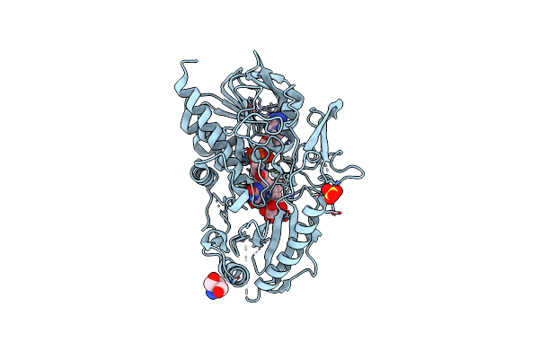 7QFD image