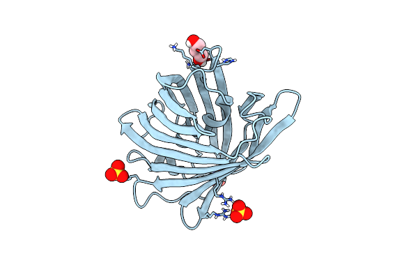 7QLI image