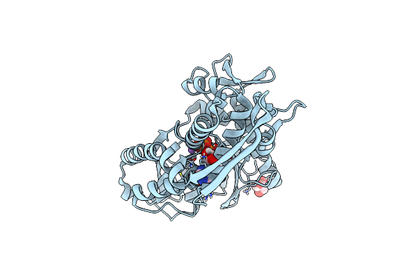 7RAX image