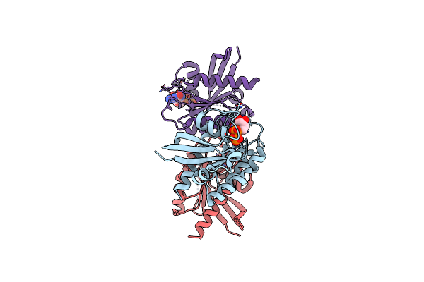7T1F image