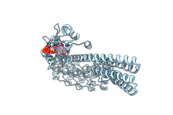 7TCD image
