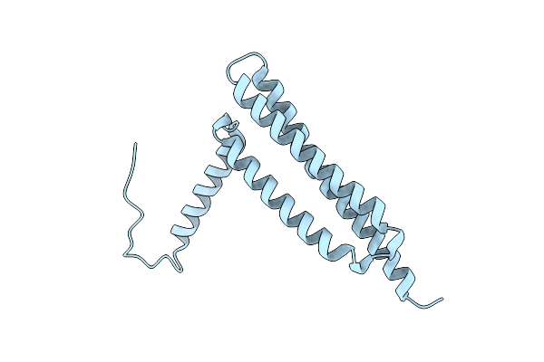 7W8B image