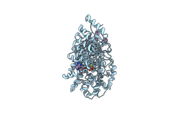 7WGE image