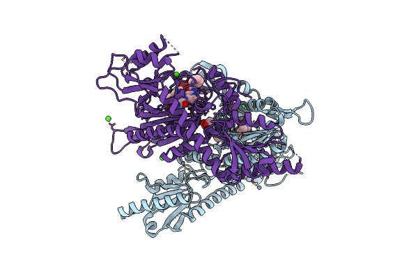 7X1O image