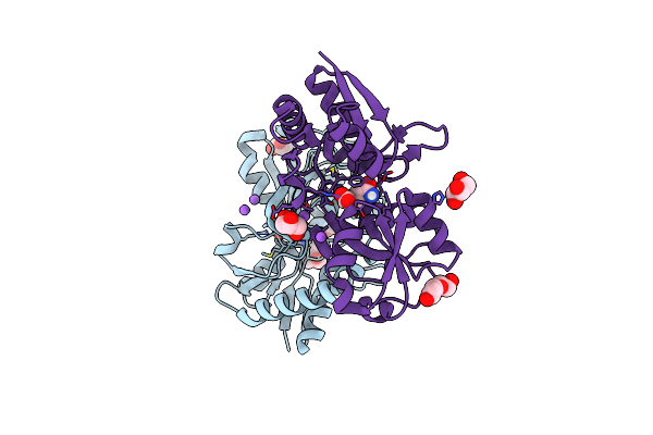 8B5D image