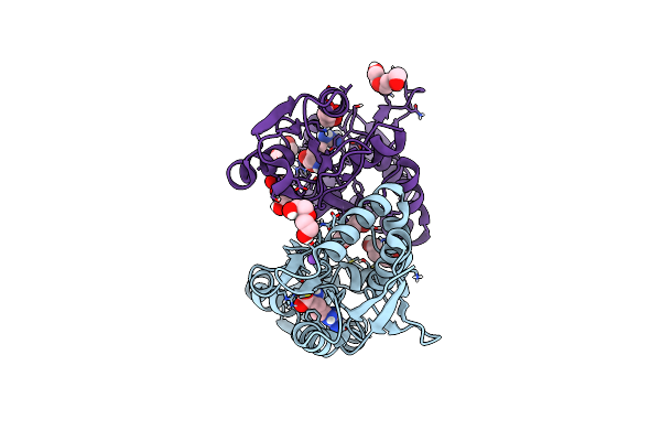 8B5E image