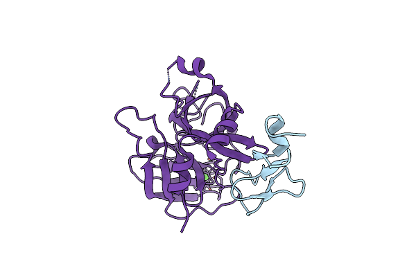 8EPC image