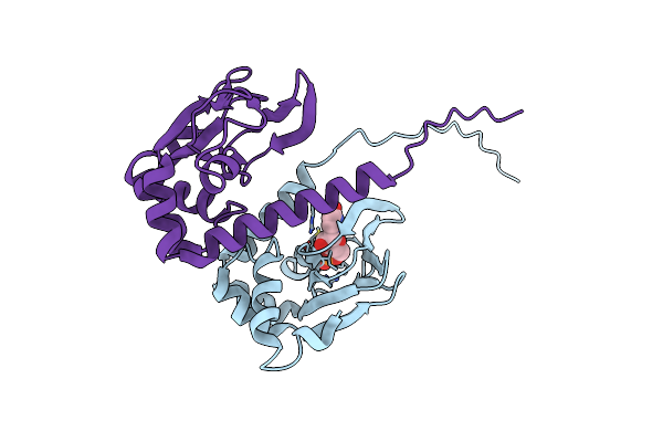 8JSK image